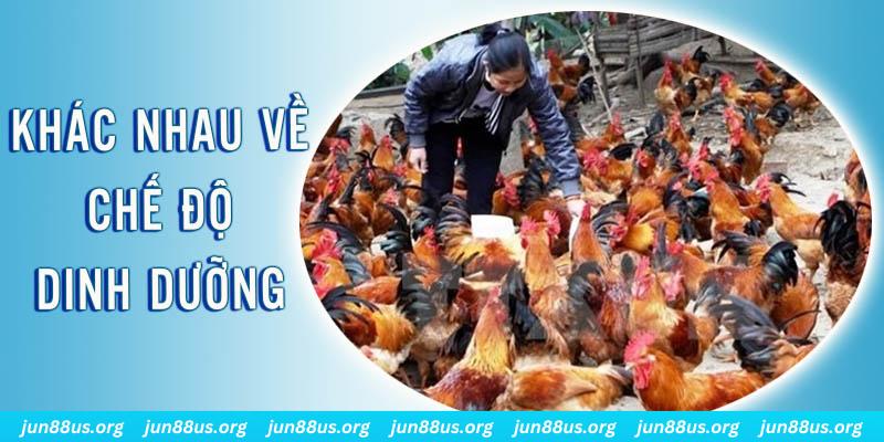 f8bet09 xổ số miền nam thứ năm hàng tuần