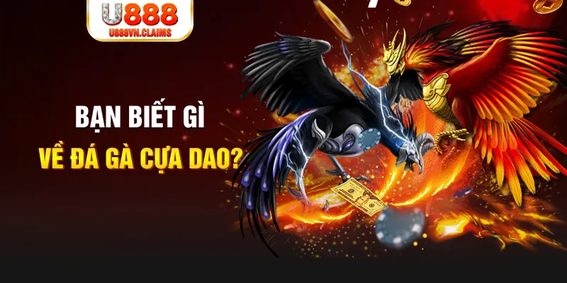f8bet09 quay thử xổ số miền nam