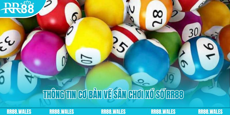 f8bet09 đá gà hôm nay