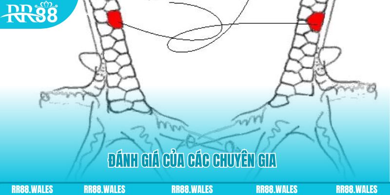 f8bet09 V8 Game Bài 3d