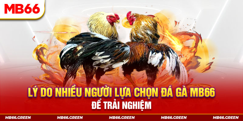 f8bet09 KA Điện Tử