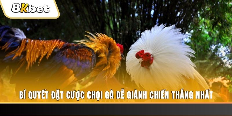 f8bet09 xổ số thứ hai hàng tuần