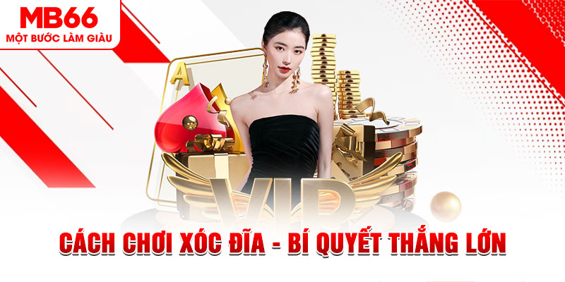 f8bet09 trực tiếp đá gà c1 hôm nay