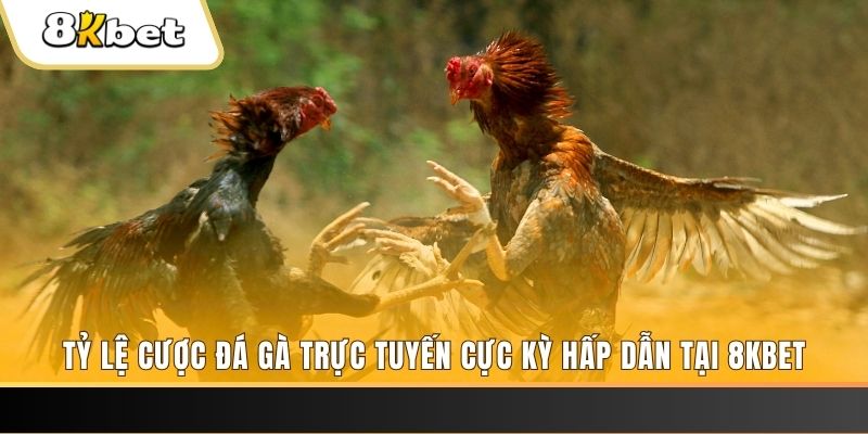 f8bet09 baccarat online bịp như thế nào