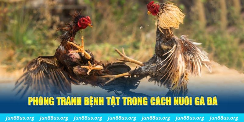 f8bet09 đăng nhập phỏm online