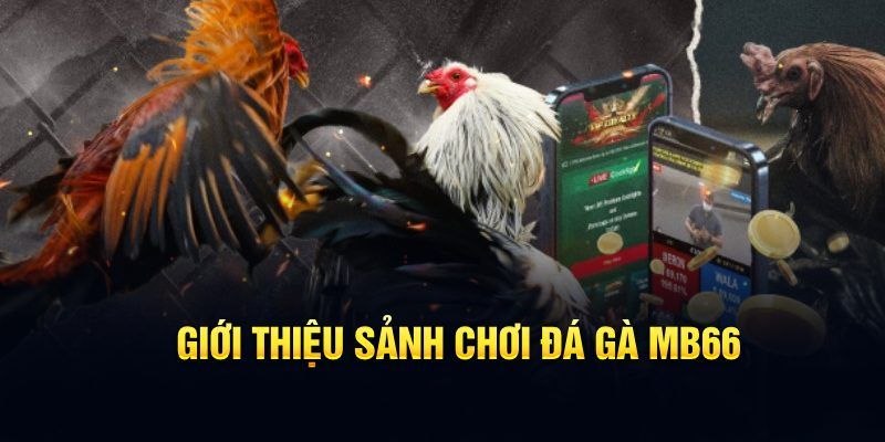 f8bet09 đăng nhập poker hôm nay